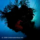 Plane Wreck Papua new Guinea